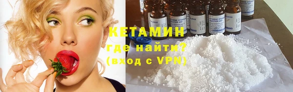 крисы Богородицк