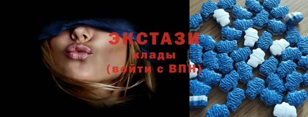 крисы Богородицк