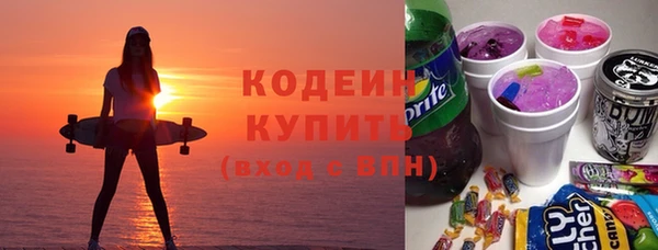 крисы Богородицк