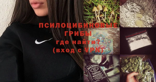 а пвп мука Богданович
