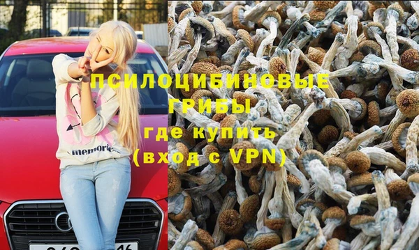 а пвп мука Богданович