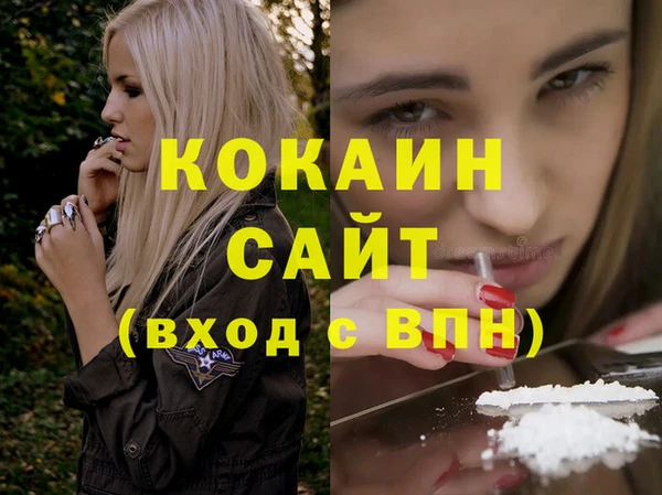 крисы Богородицк