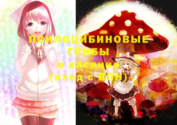а пвп мука Богданович
