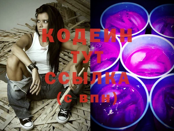 крисы Богородицк