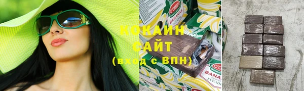крисы Богородицк